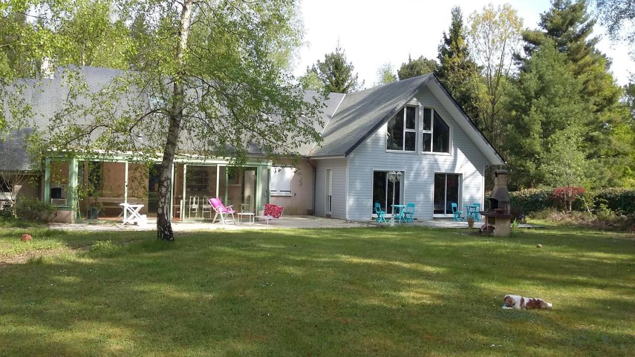 B&B La Foret De Charmeuse Ruaudin Εξωτερικό φωτογραφία