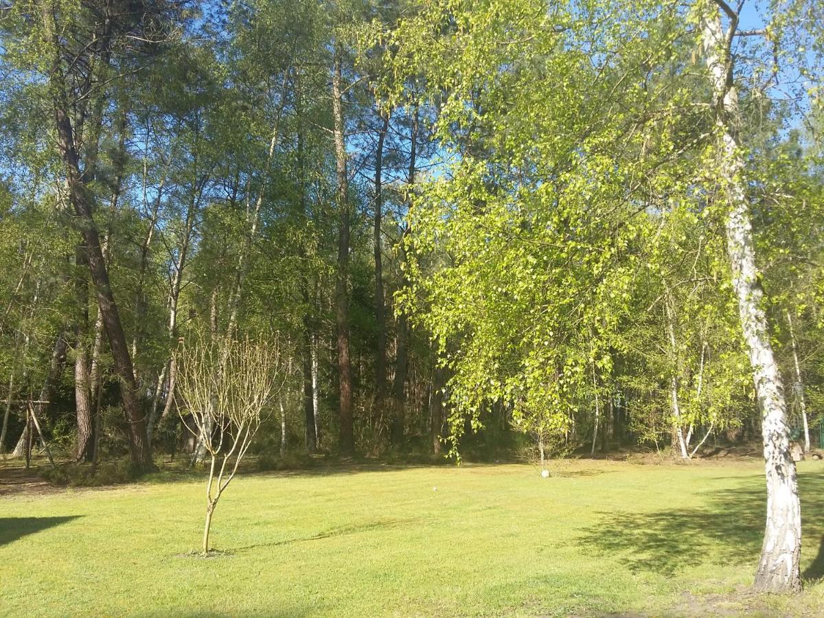 B&B La Foret De Charmeuse Ruaudin Εξωτερικό φωτογραφία