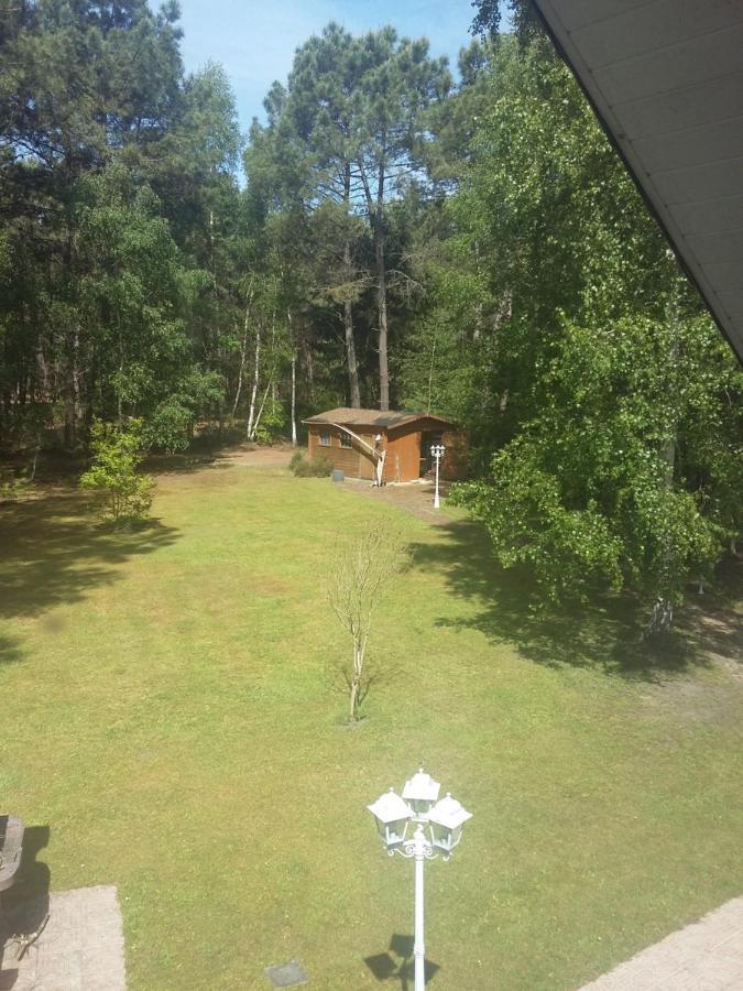 B&B La Foret De Charmeuse Ruaudin Εξωτερικό φωτογραφία